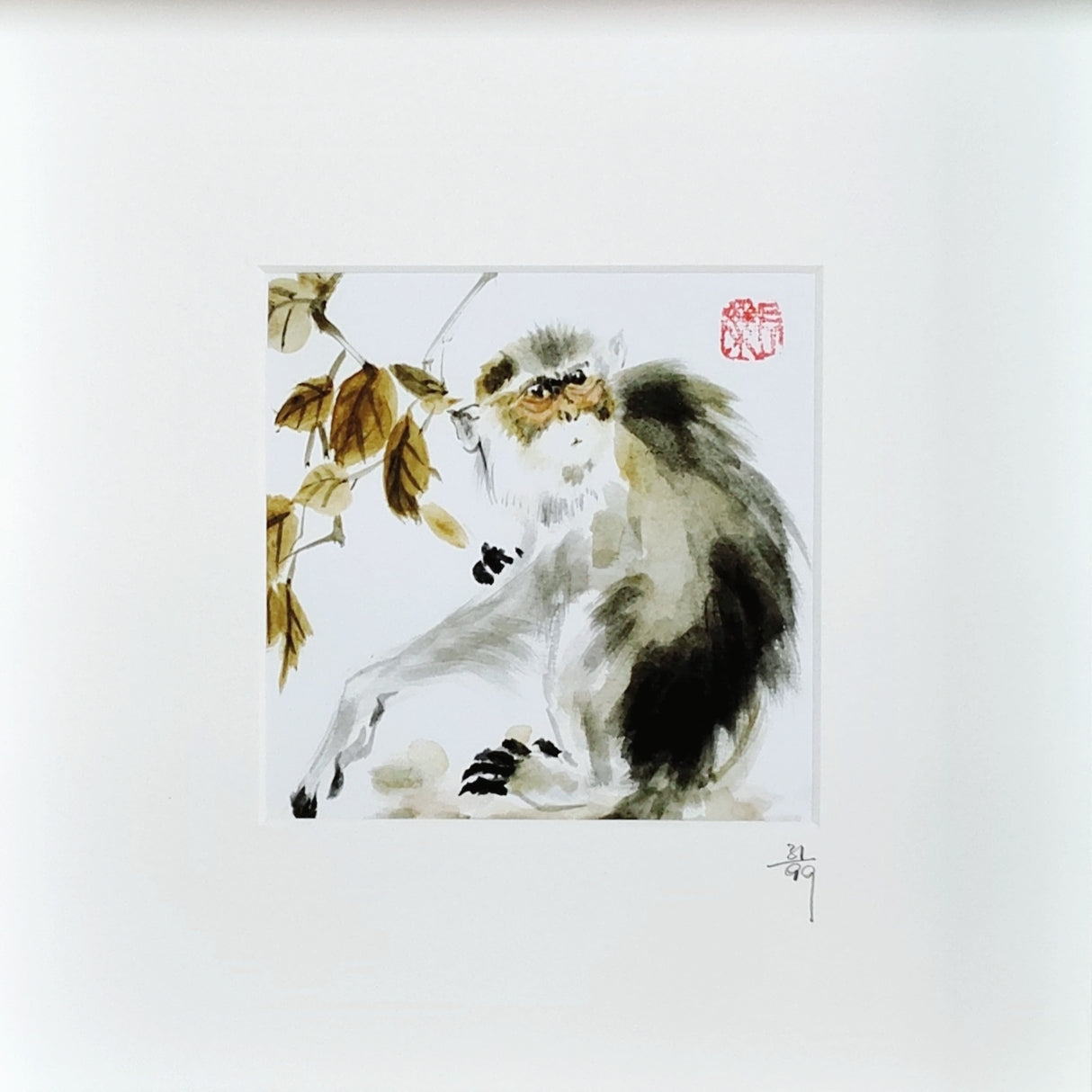 The Monkey – "Whims of Wisdom"