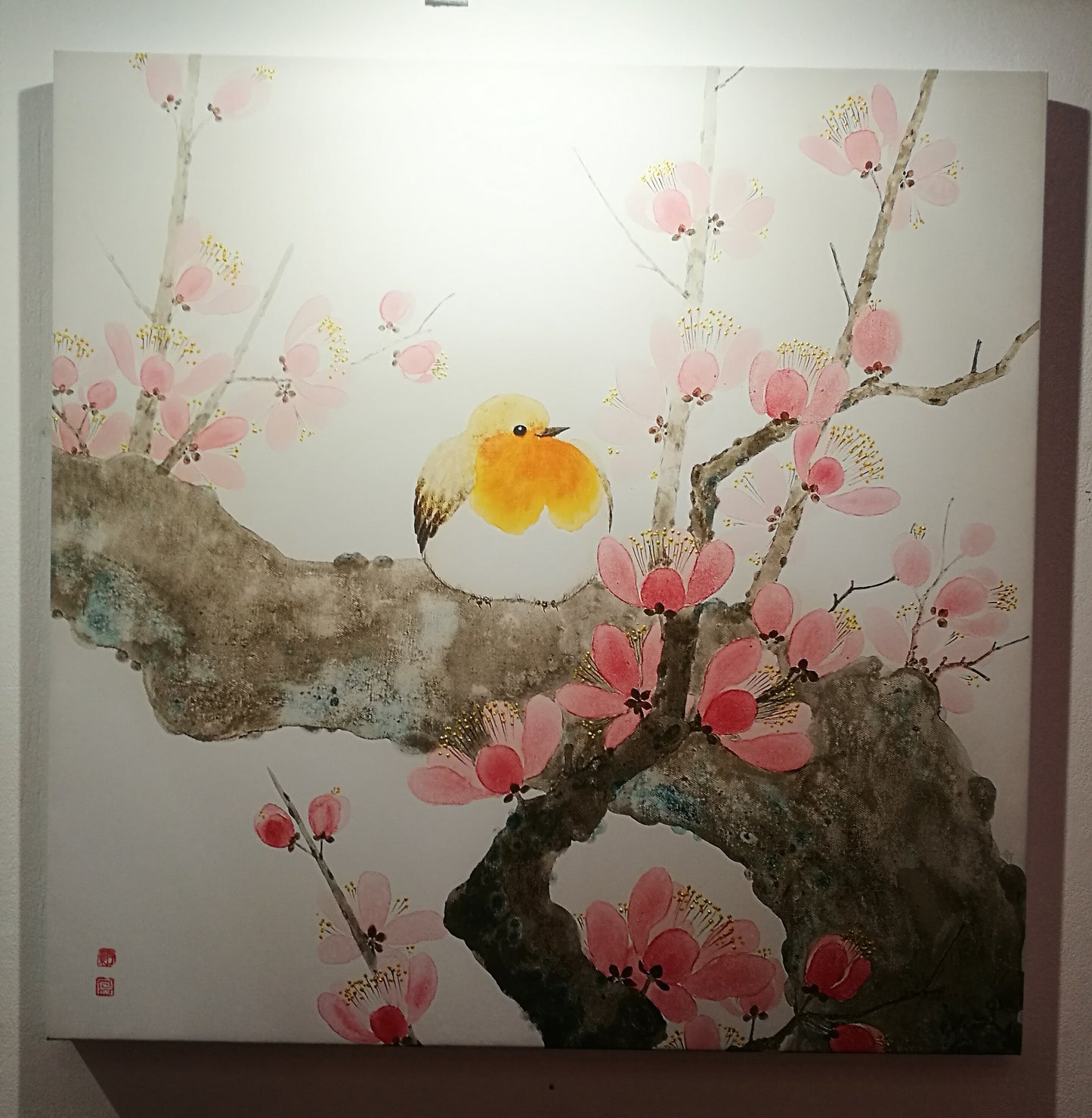 Robin - Love , Peace, Harmony & Happiness