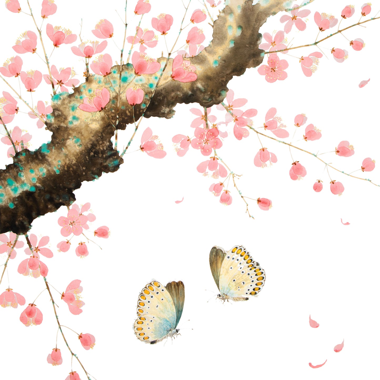 Love , Peace, Harmony & Happiness