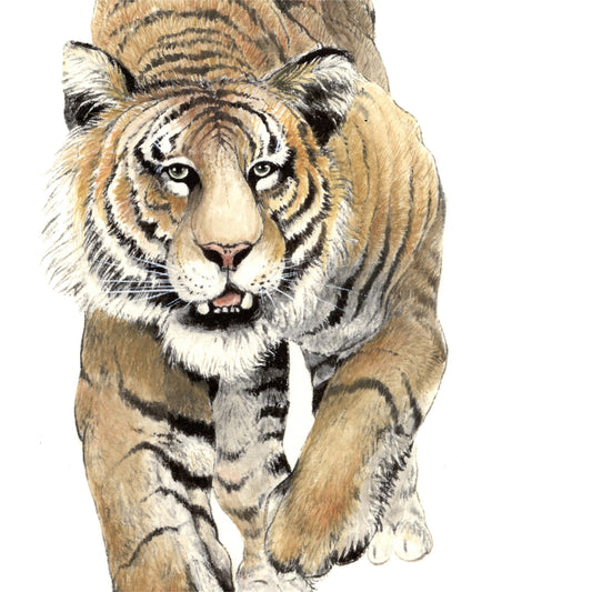 Tiger II